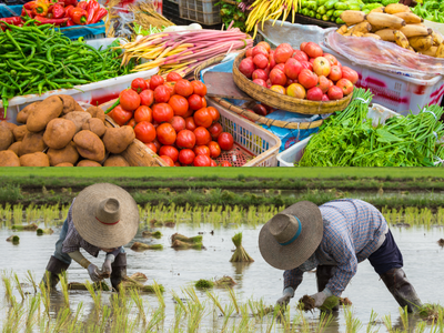 Information Management Image